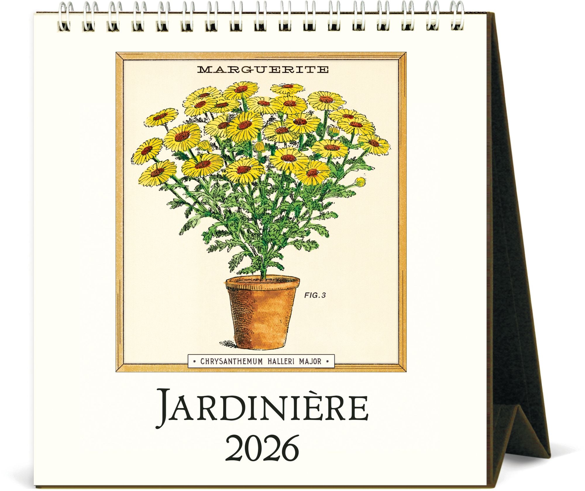 2026 Cavallini Jardiniere Desk Calendar