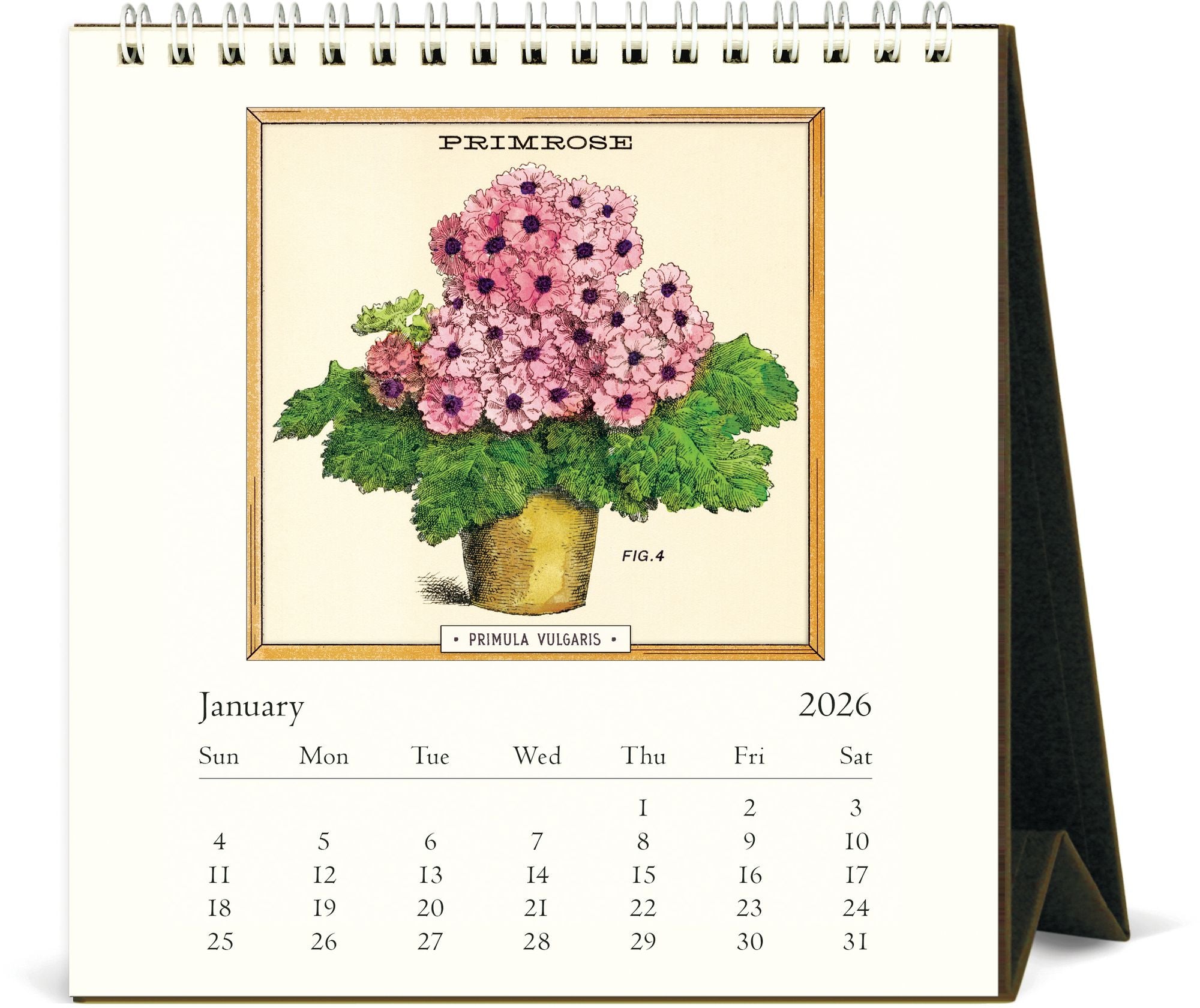 2026 Cavallini Jardiniere Desk Calendar