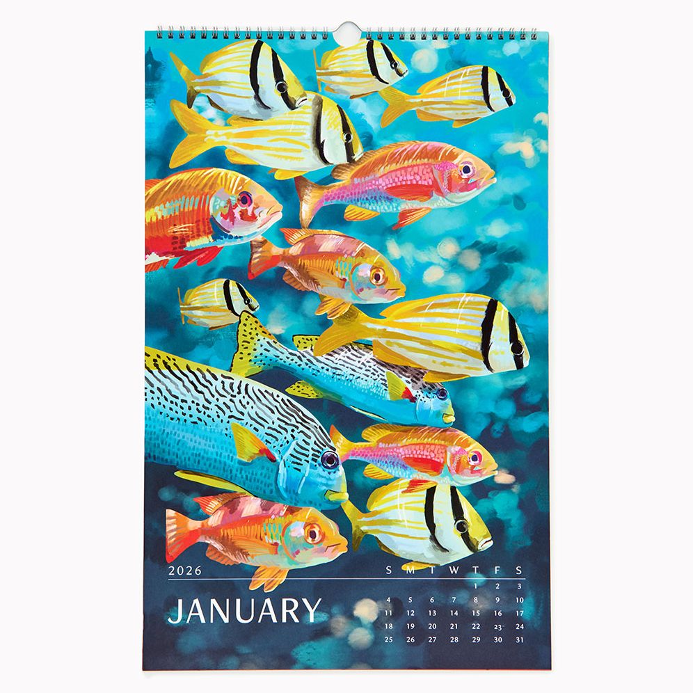 2026 Paper Source Wall Art