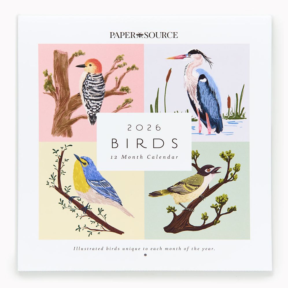 2026 Paper Source Birds