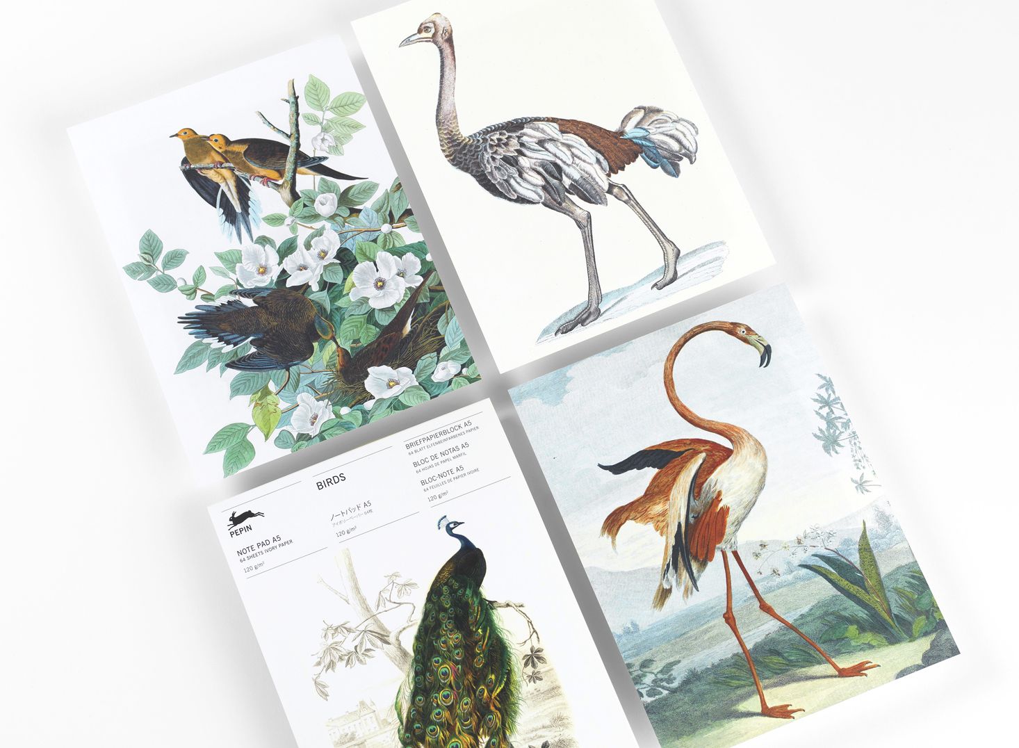 Birds A5 Notepad