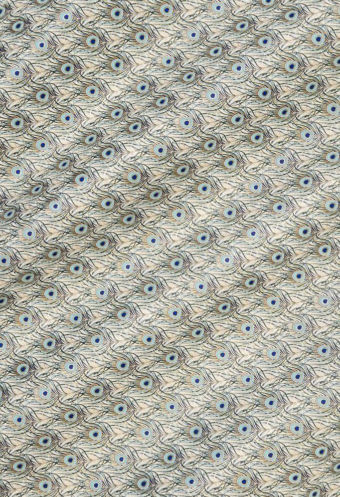 Peacock Fine Paper | Paper Source