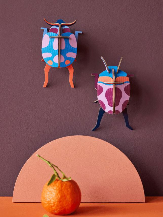 Coccinelle Couple