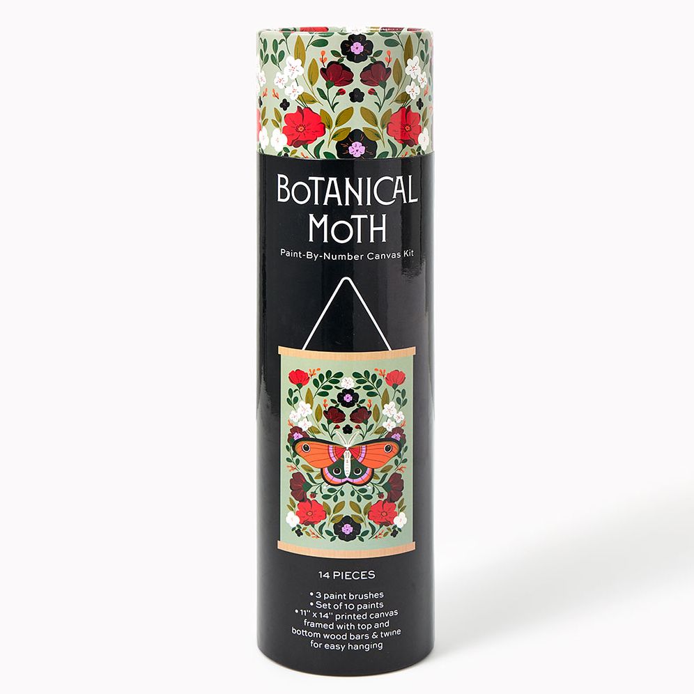 Botanical Moth Paint by Numbers