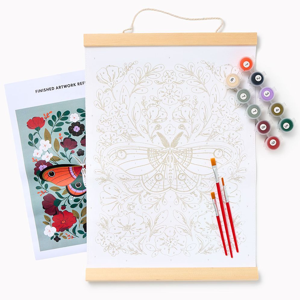 Botanical Moth Paint by Numbers