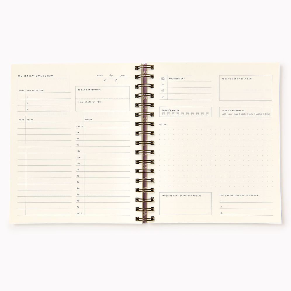 Sand Grid Paper Wasp Daily Planner