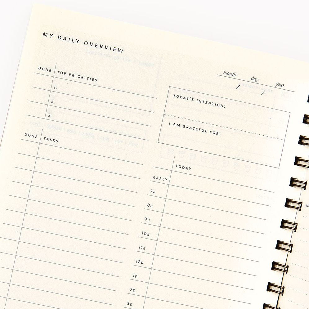 Teal Diamond Paper Wasp Daily Planner