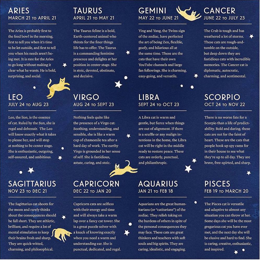 Cat Zodiac 500 Piece Puzzle