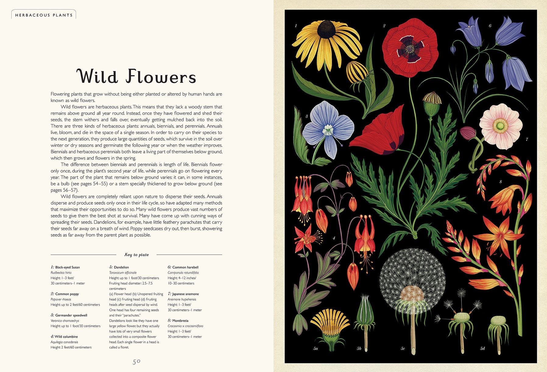 Botanicum (Welcome to the Museum Series) | Paper Source