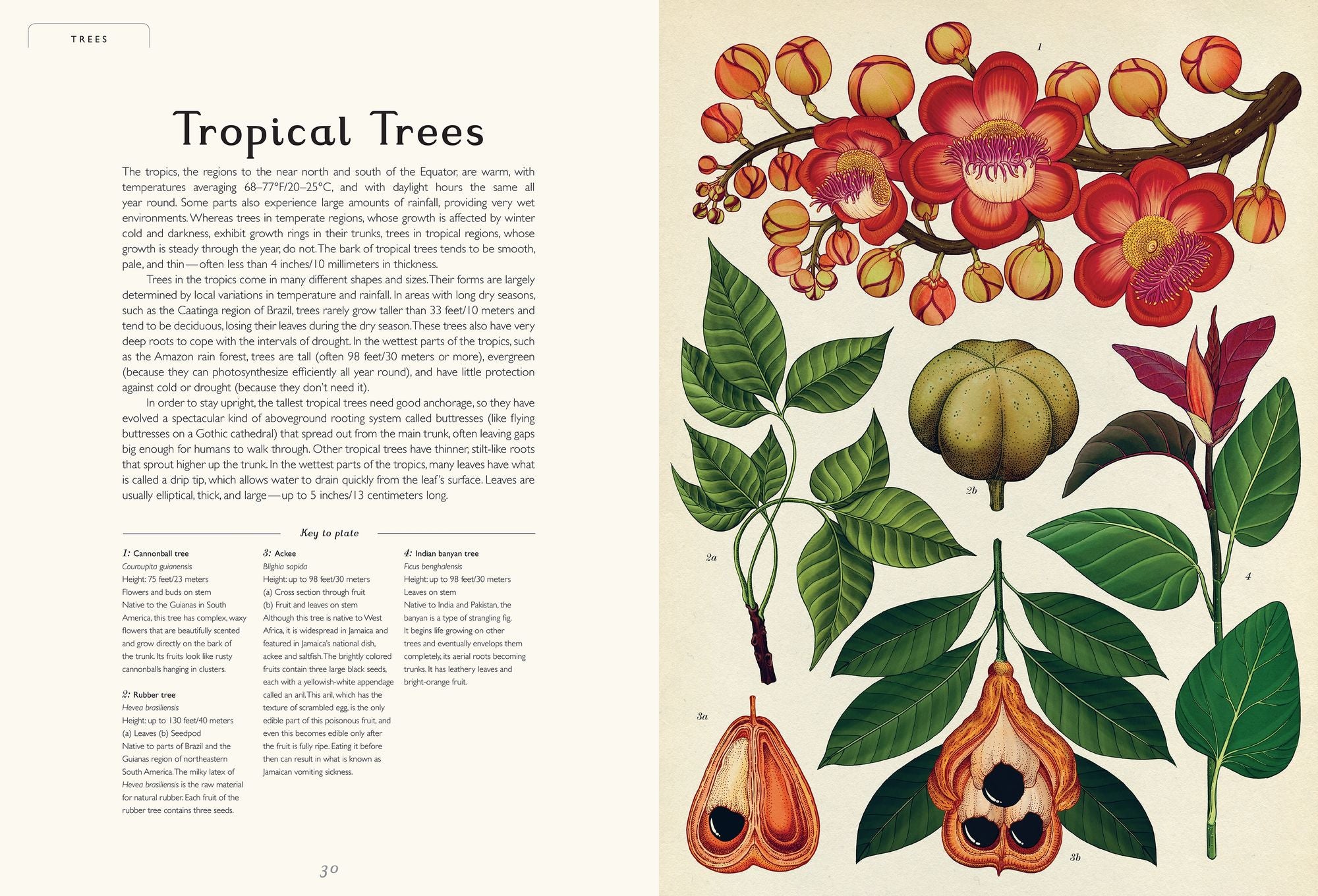 Botanicum (Welcome to the Museum Series) | Paper Source