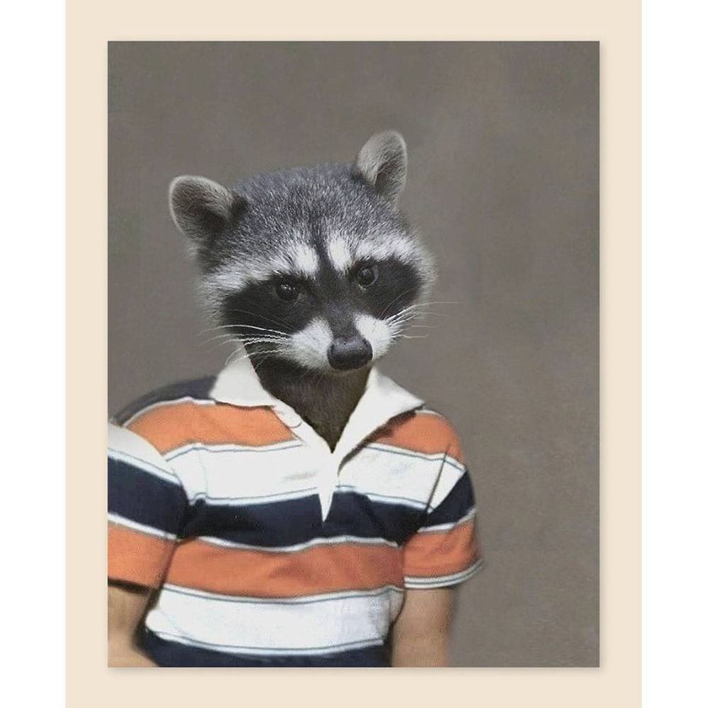 Picture Day Notecards (Gift for Animal Lovers, Funny Stationery, Notecards with Cute Animals)
