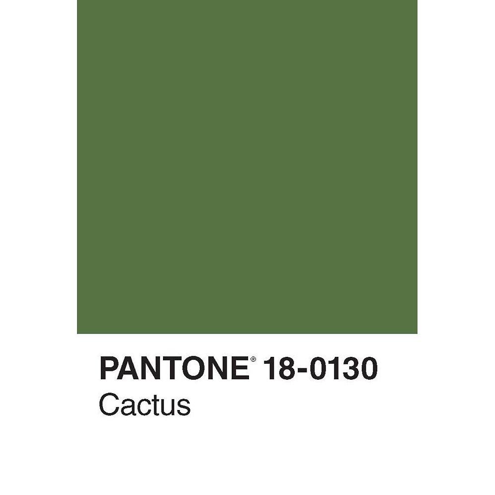Pantone 50 Postcards
