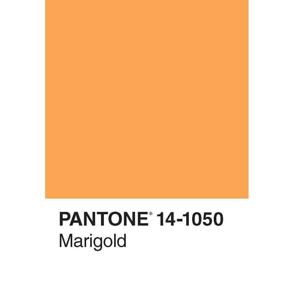 Pantone 50 Postcards