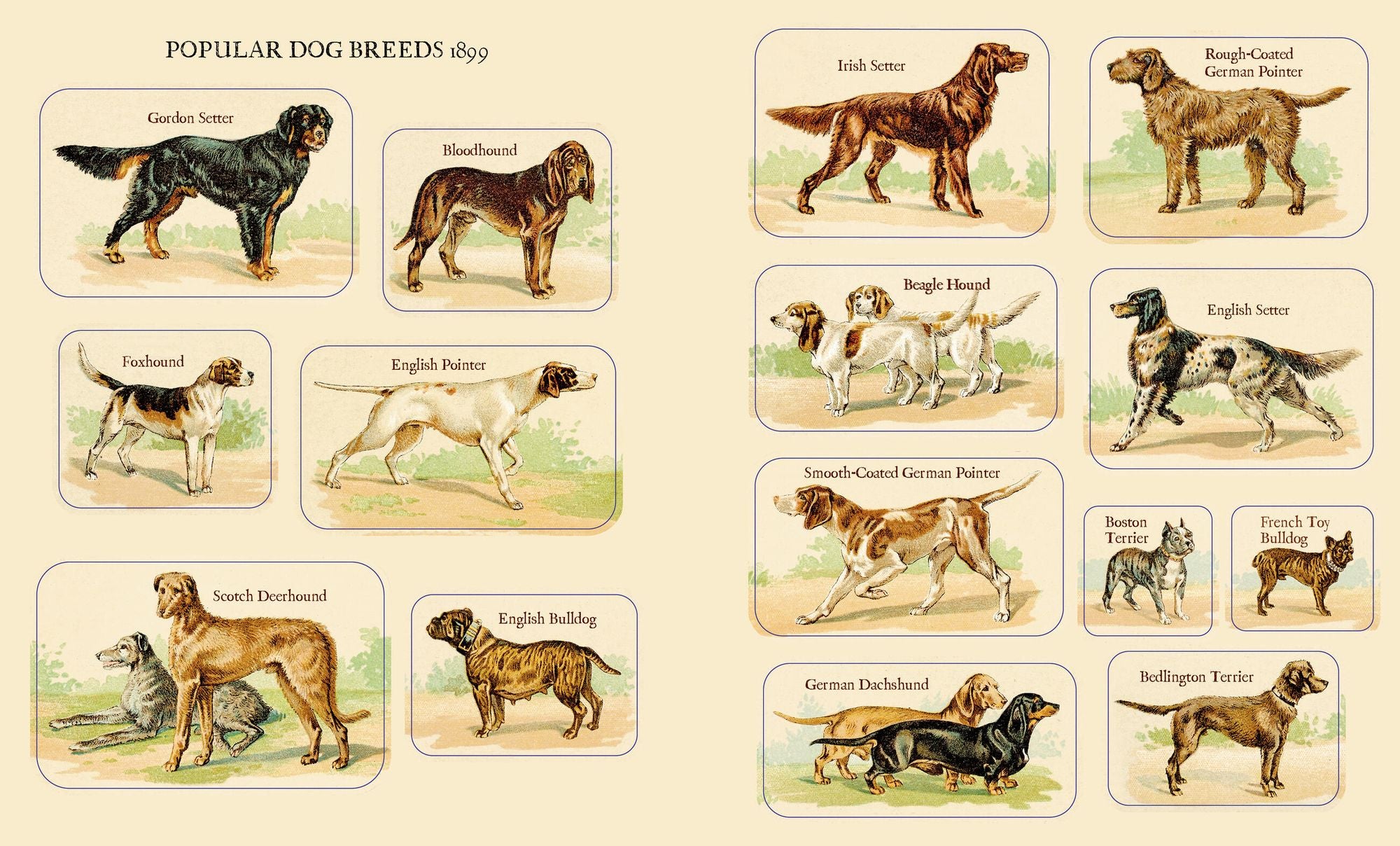 Cynthia Hart's Victoriana Dogs: The Sticker Book: 340 Captivating Stickers