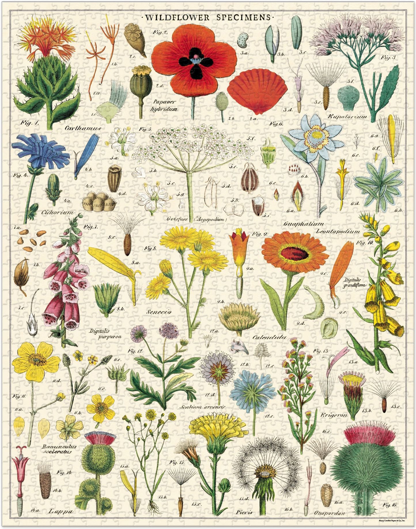 Cavallini & Co - Wildflowers 1,000 Piece Jigsaw Puzzle | Paper Source