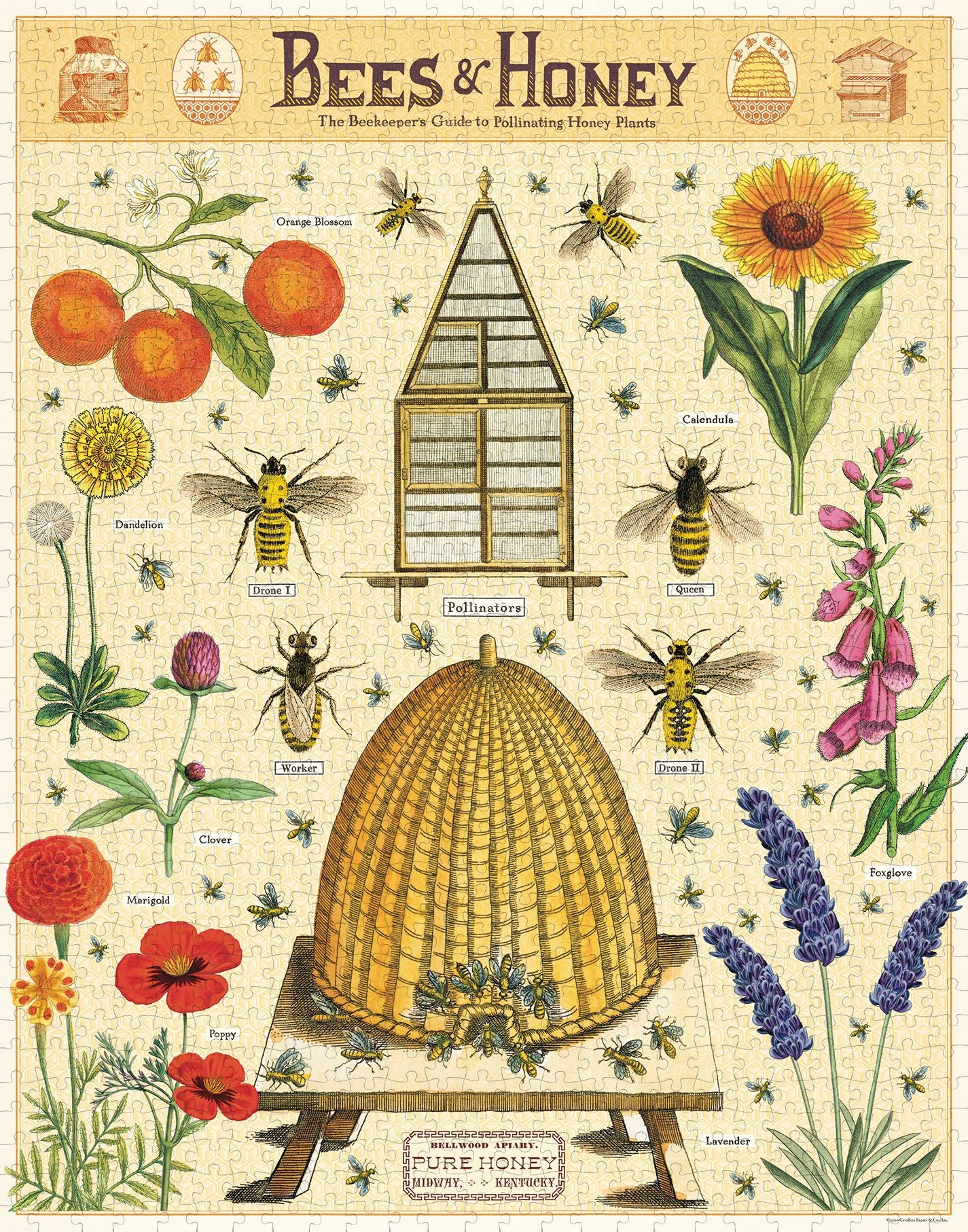 Cavallini & Co - Bees & Honey 1000 Piece Jigsaw Puzzle