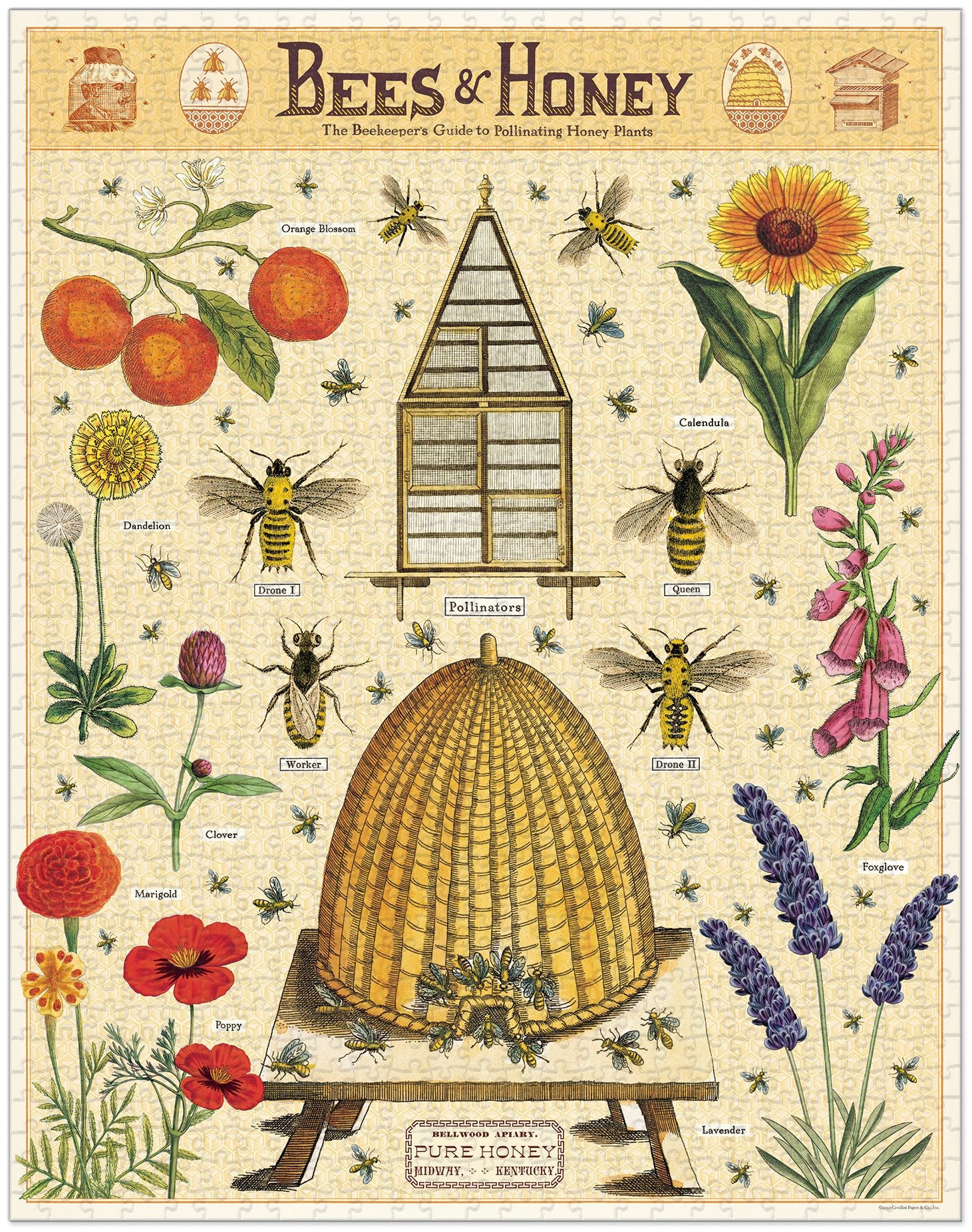 Cavallini & Co - Bees & Honey 1000 Piece Jigsaw Puzzle | Paper Source
