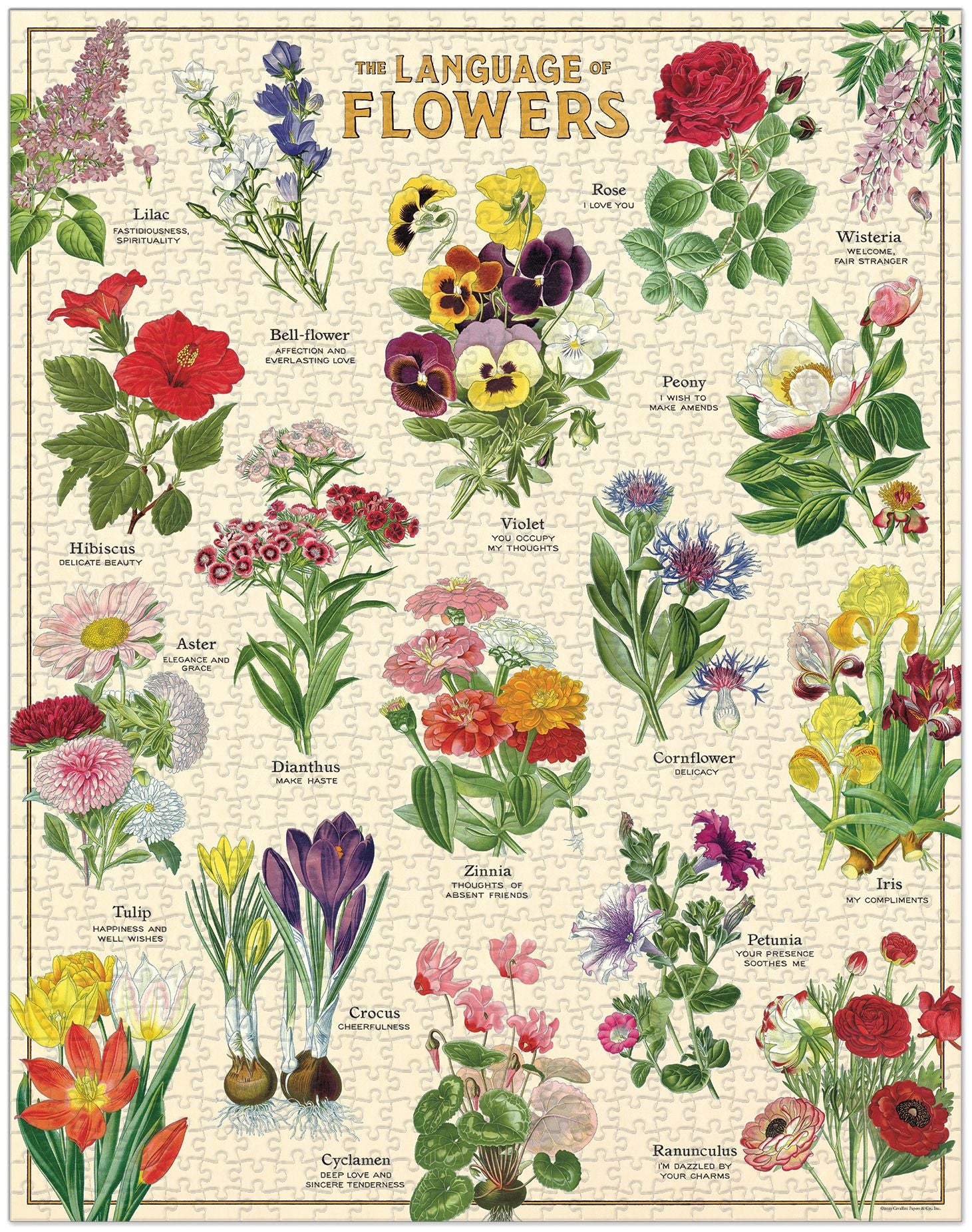 Language of Flowers 1,000 Pc Puzzle | Paper Source