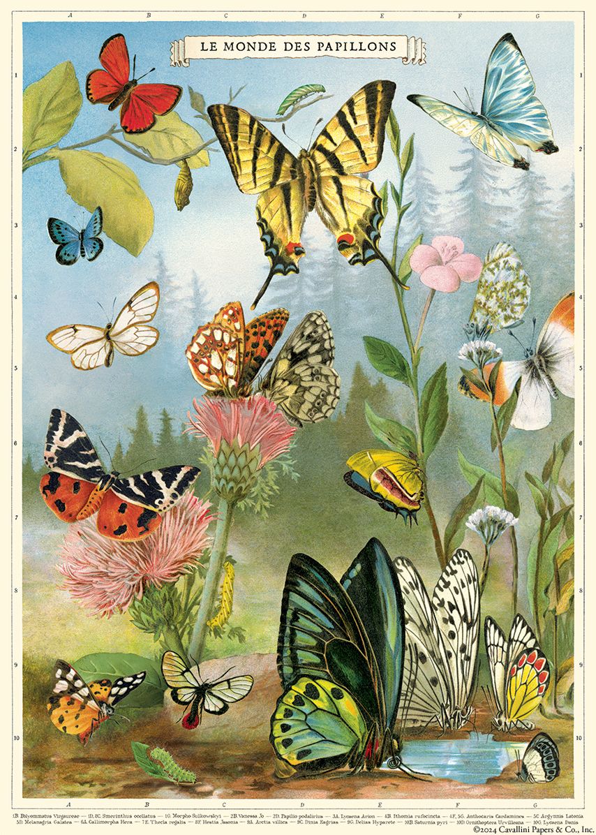 Butterflies Flat Wrap