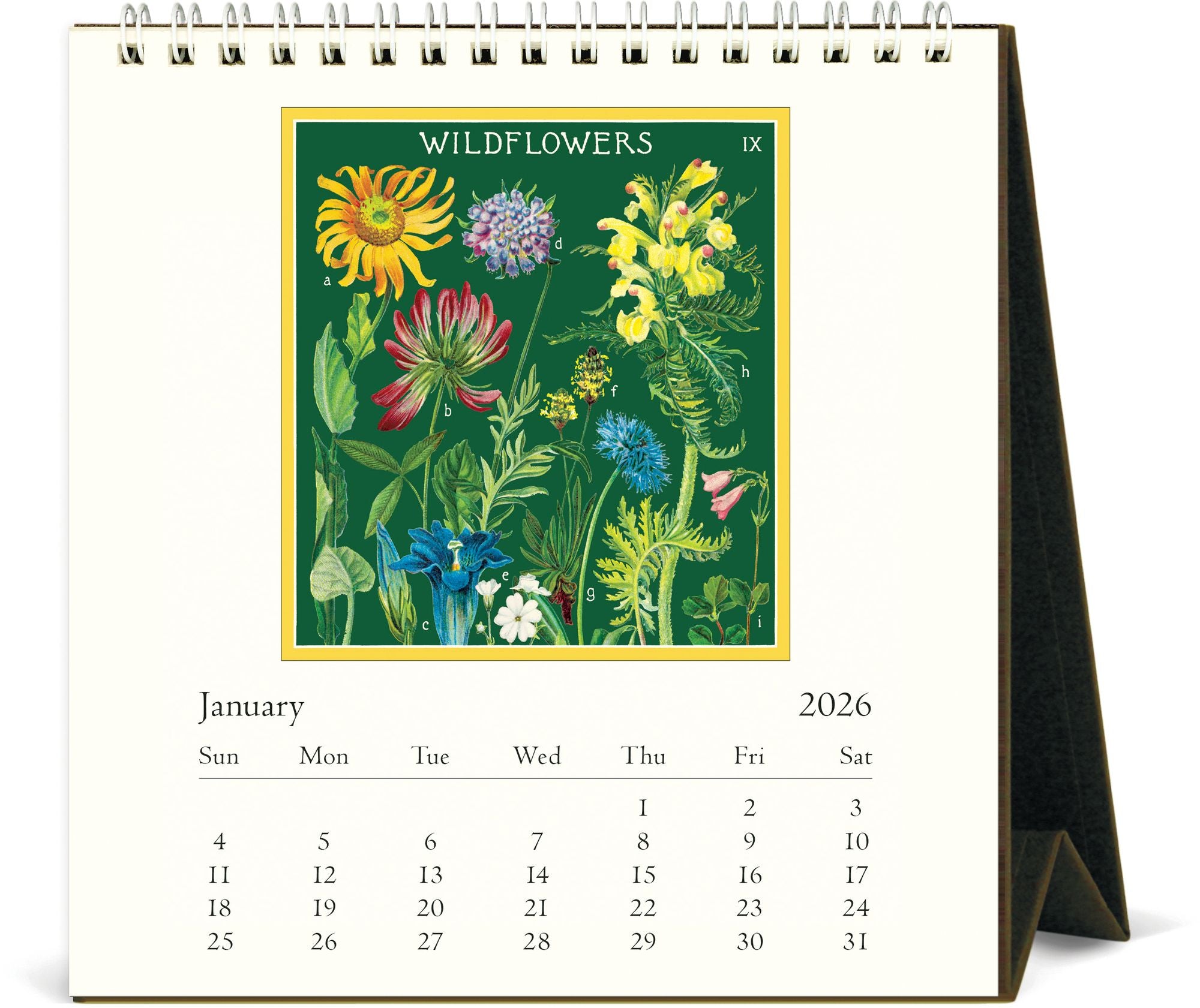 2026 Cavallini Wildflowers Desk Calendar | Paper Source