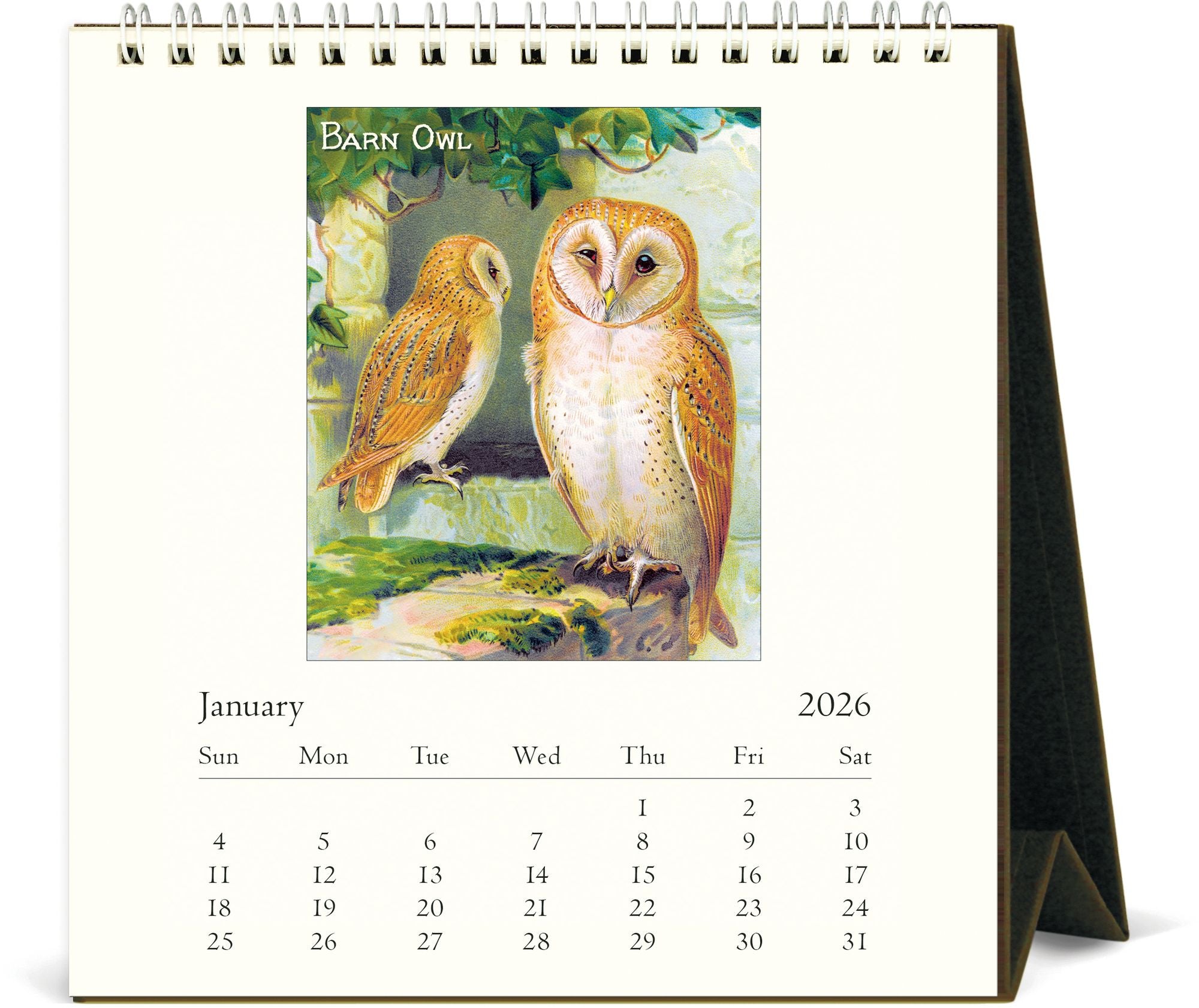 2026 Cavallini Owls Desk Calendar