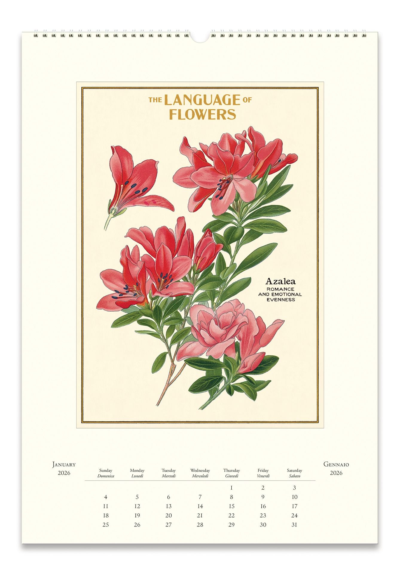 2026 Language of Flowers Wall Calendar | Paper Source