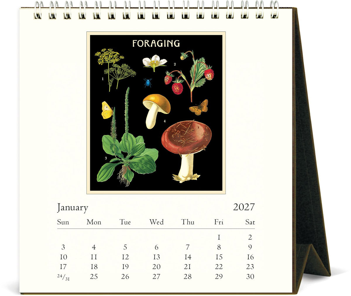 2027 Foraging Desk Calendar