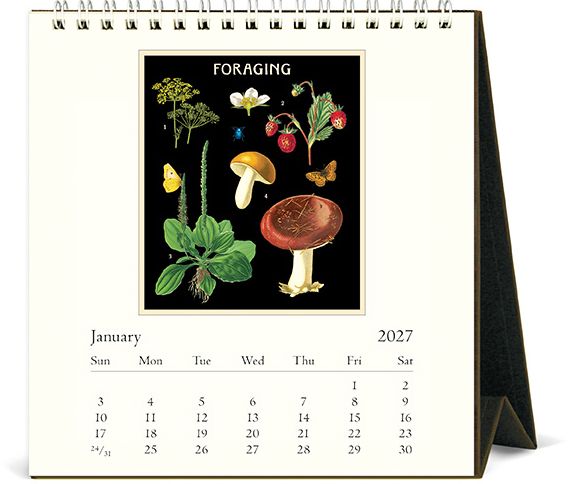 2027 Foraging Desk Calendar