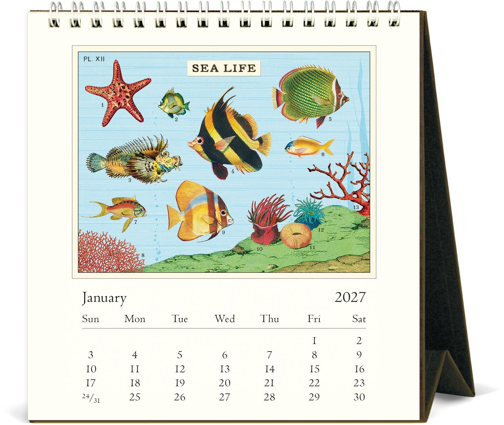 2027 Sea Life Desk Calendar