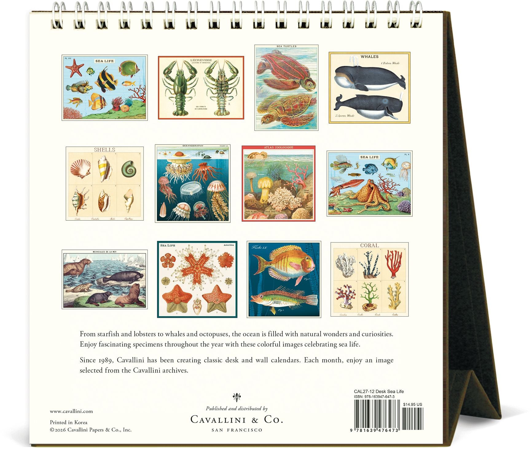 2027 Sea Life Desk Calendar