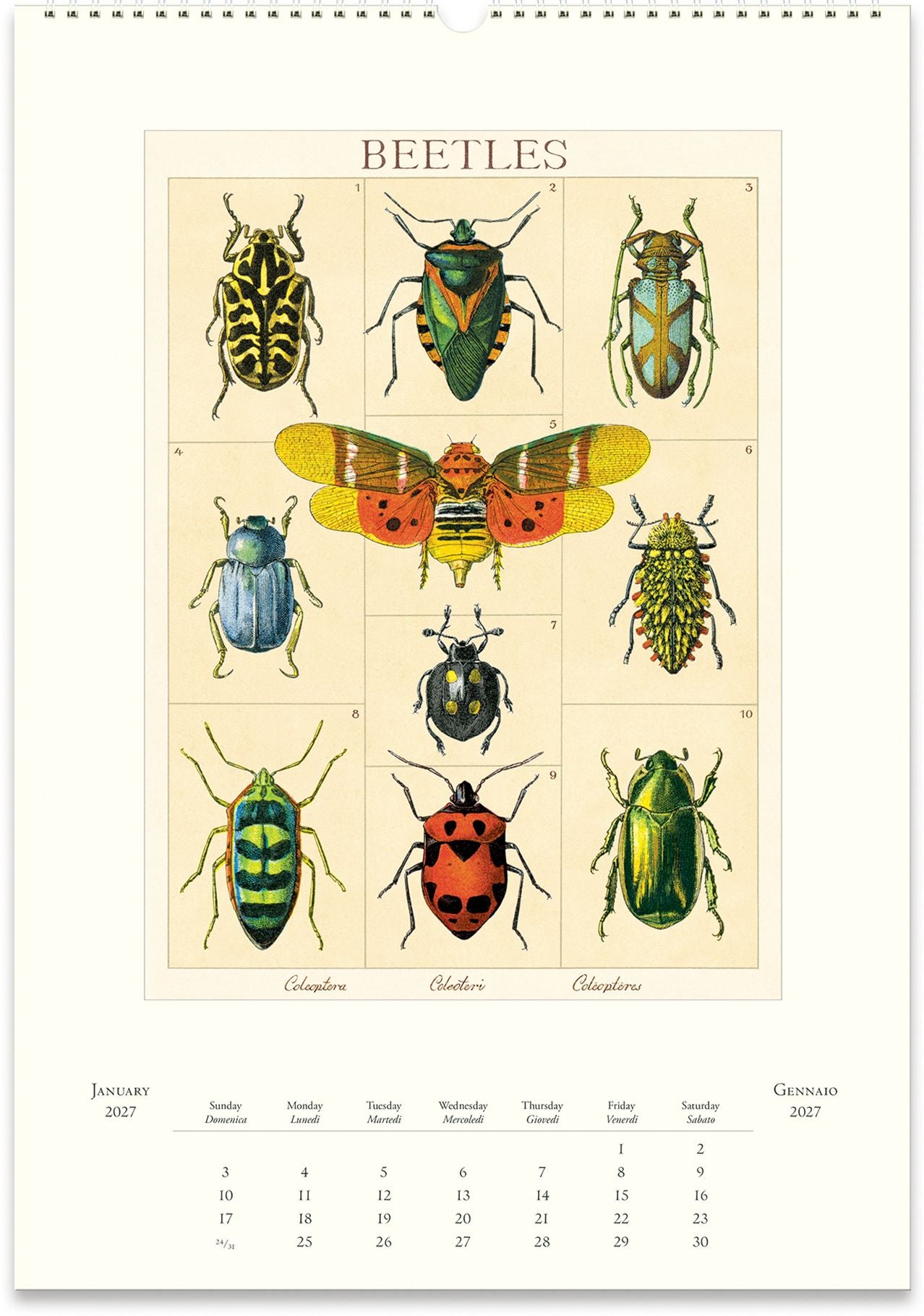 2027 Entomology Wall Calendar