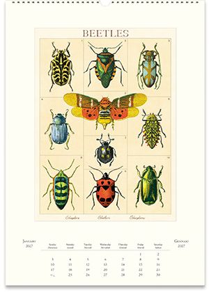 2027 Entomology Wall Calendar