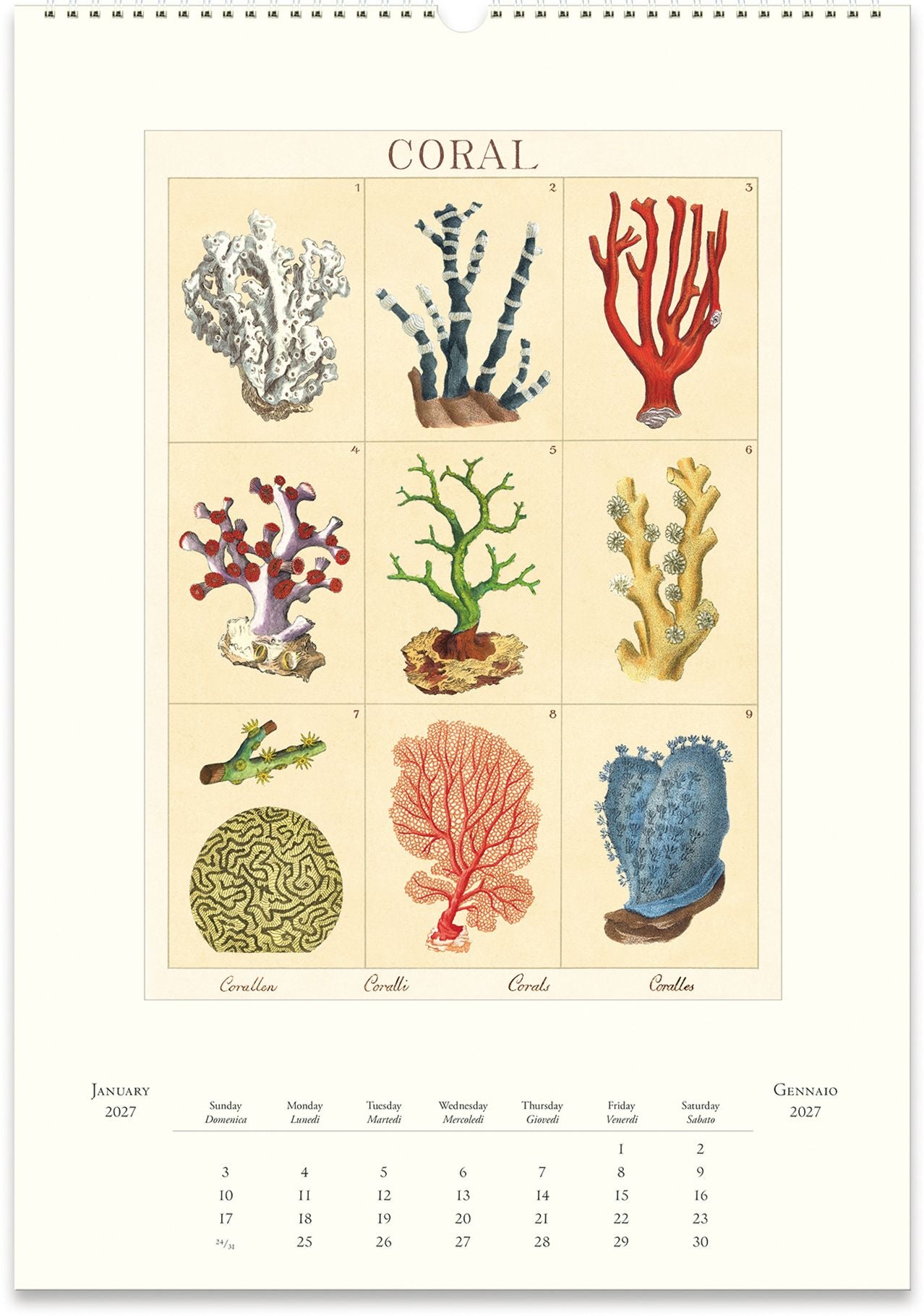 2027 Sea Life Wall Calendar
