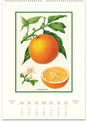 2027 Farmers Market Wall Calendar