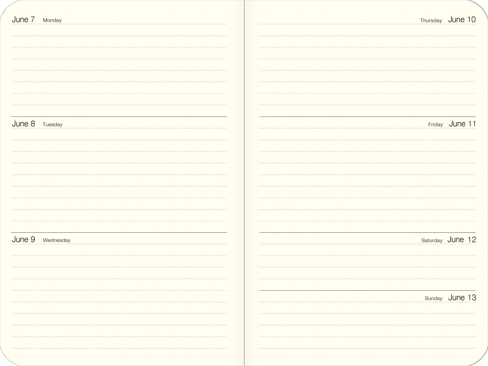 2027 Cats Weekly Pocket Planner
