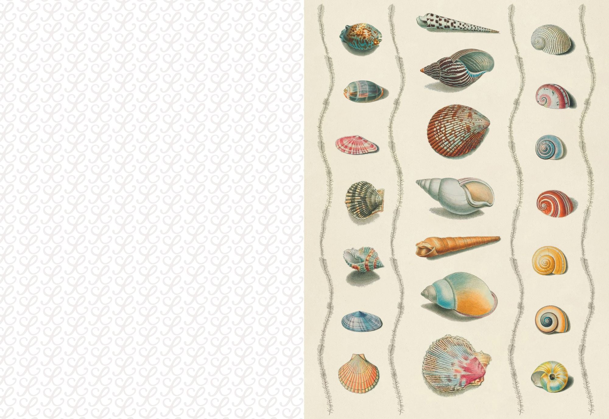 The Collage Compendium: 2,000 Images to Cut Out & Collage