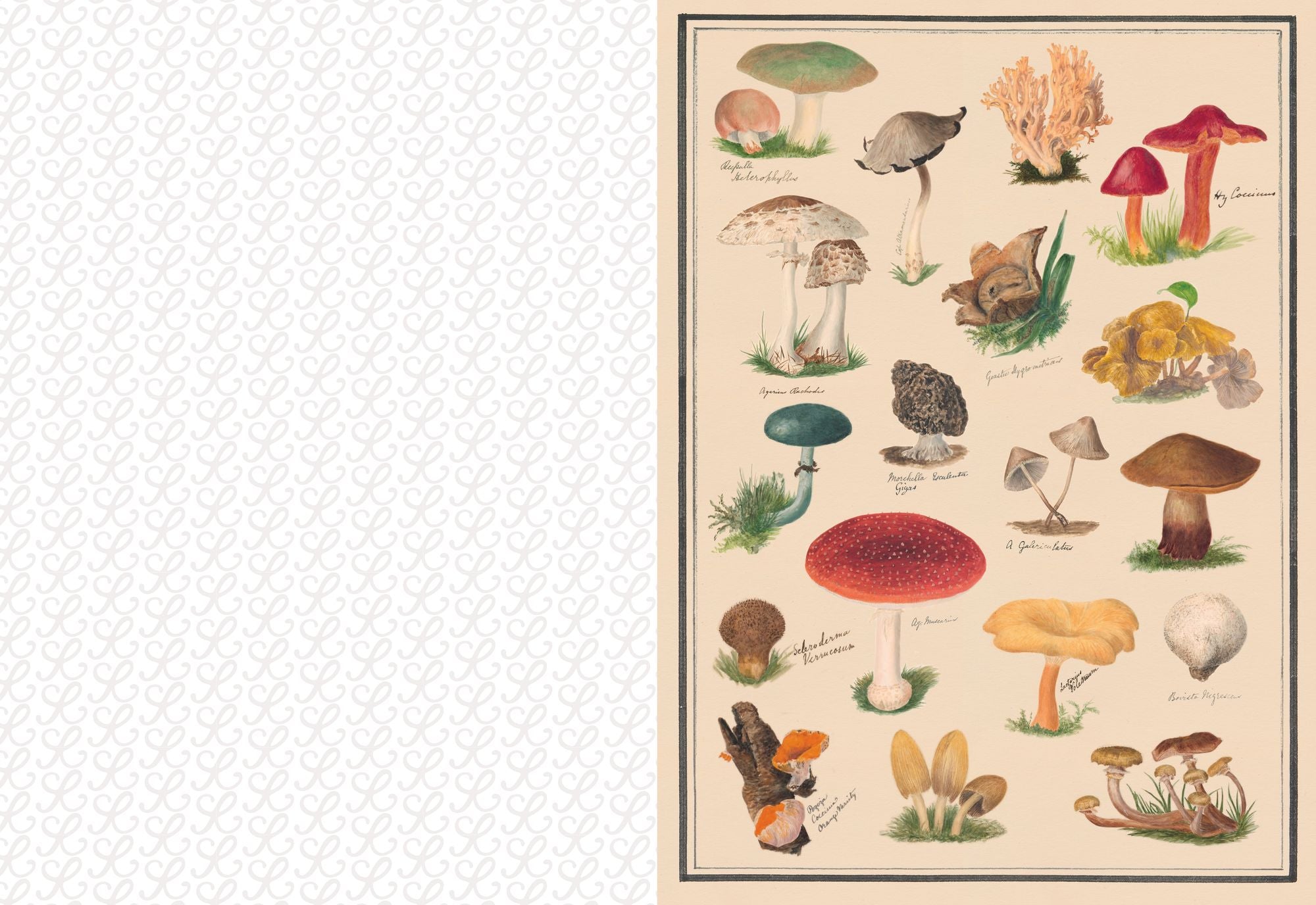 The Collage Compendium: 2,000 Images to Cut Out & Collage