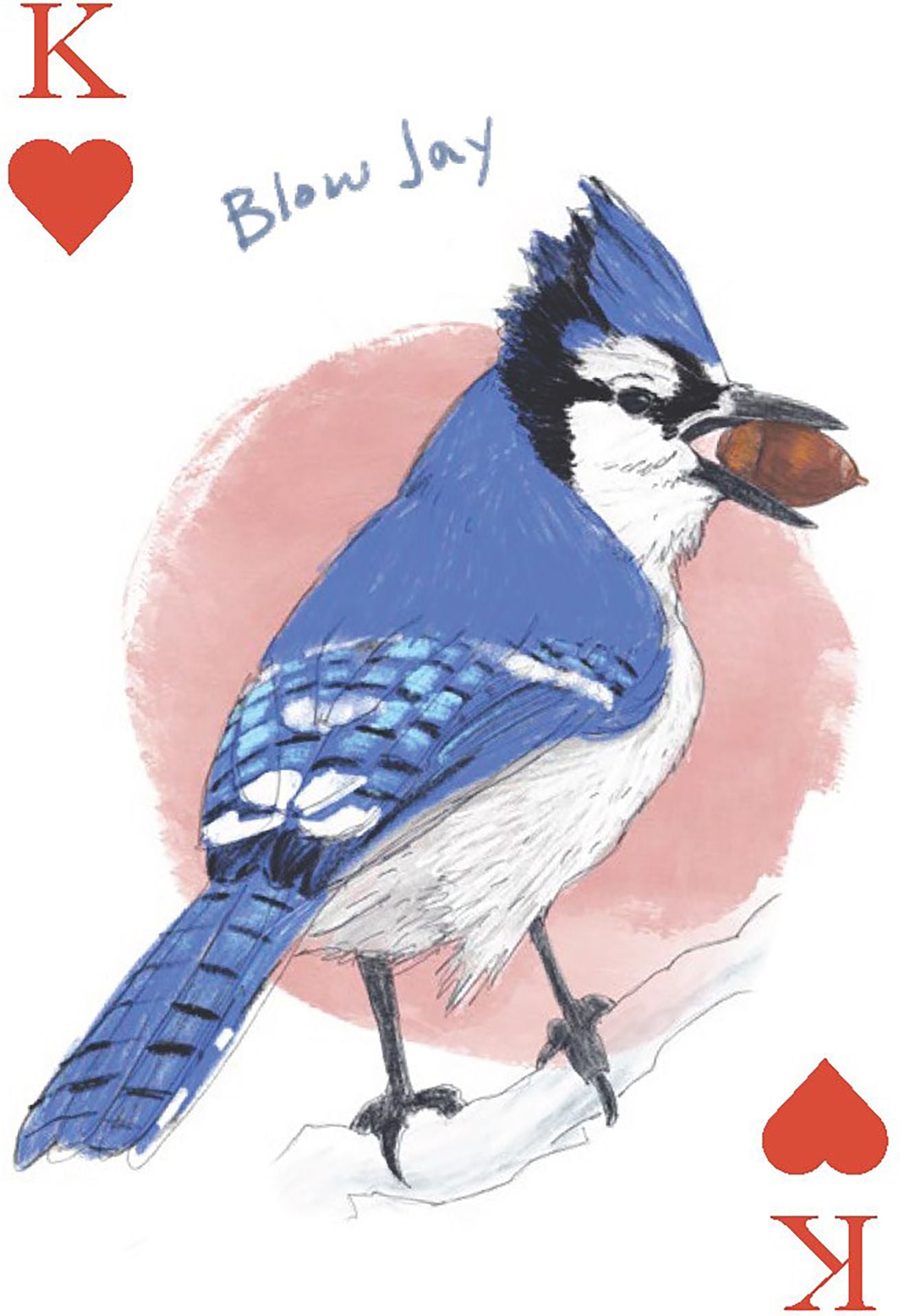 The Field Guide to Dumb Birds Playing Cards: 2-Deck Set