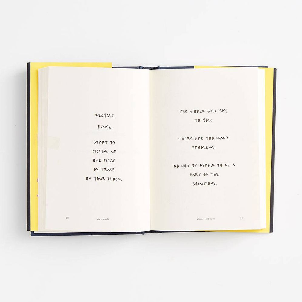 Where to Begin: A Small Book About Your Power to Create Big Change in Our Crazy World