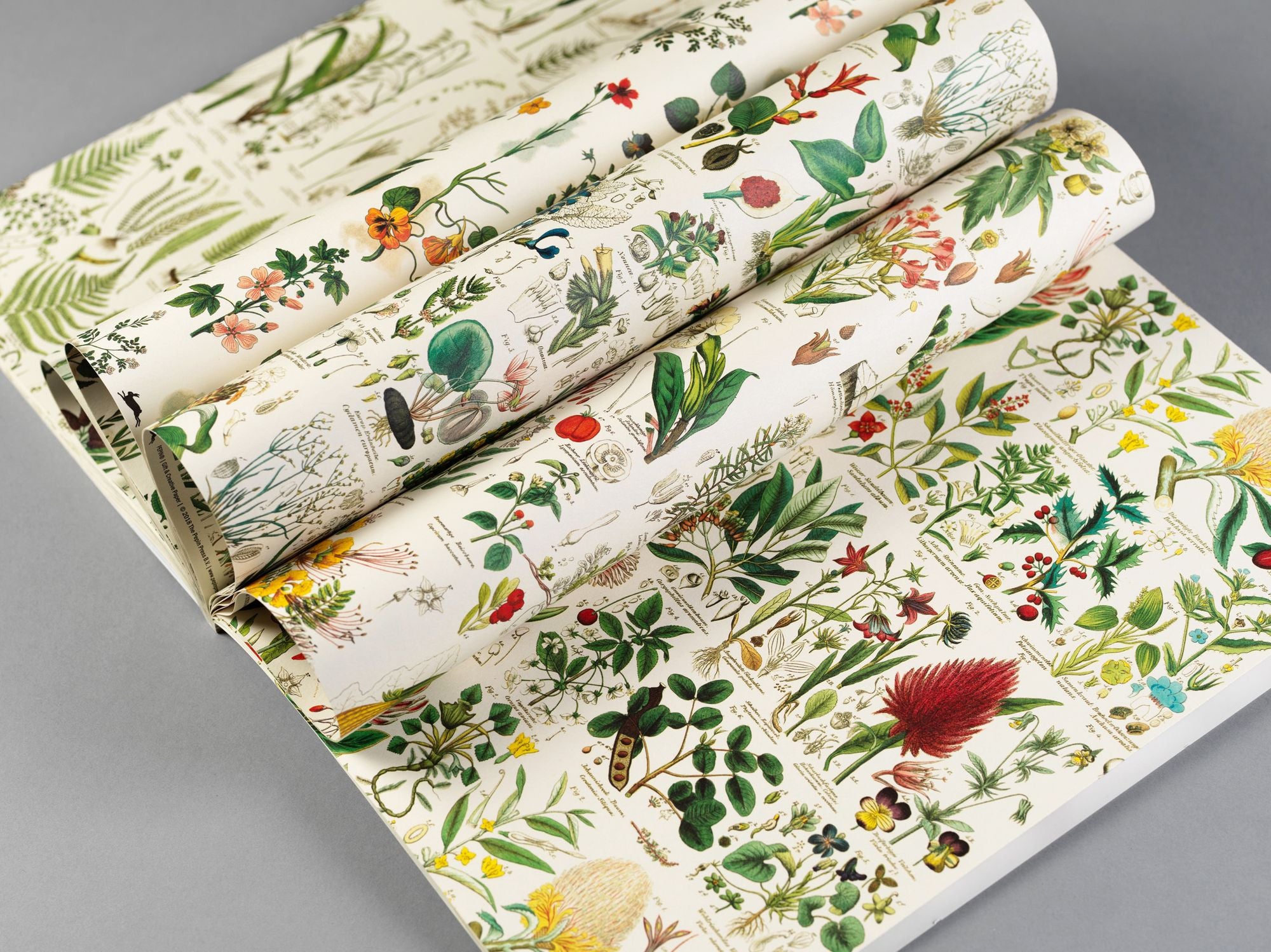 Flora Gift & Creative Paper Book