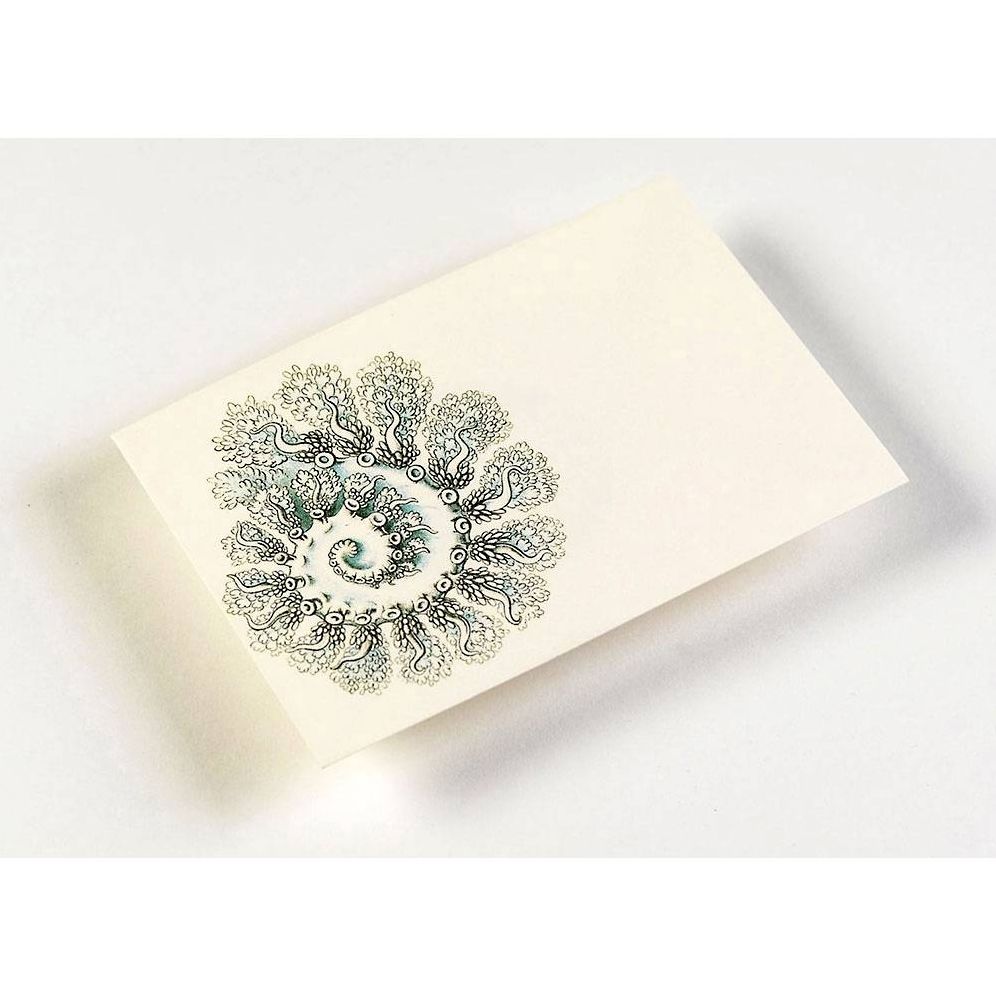 Art Forms in Nature Letter Writing Set