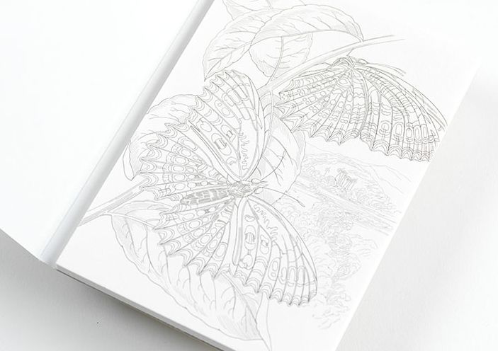 Natural History - Watercolour Postcard Book