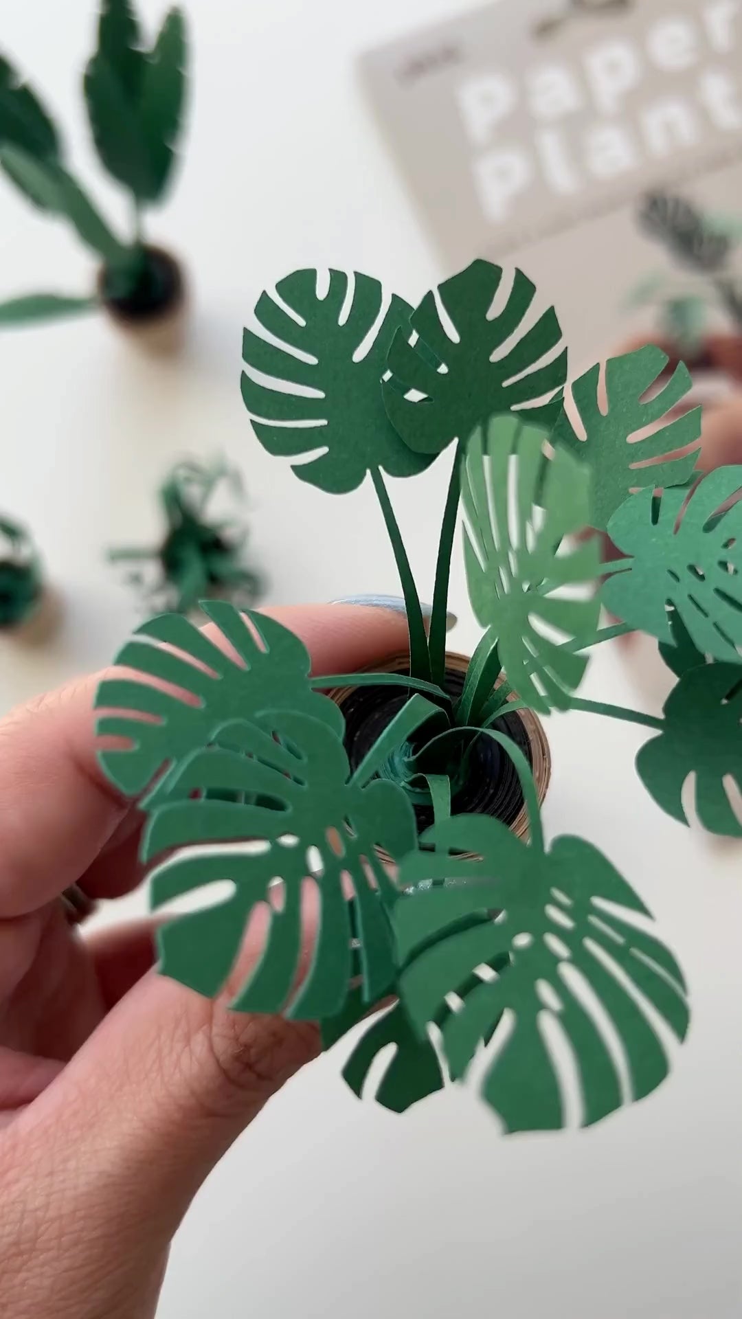 Step-by-step video detailing how to construct paper plants kit.