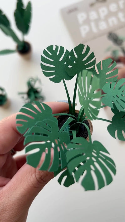 Step-by-step video detailing how to construct paper plants kit.